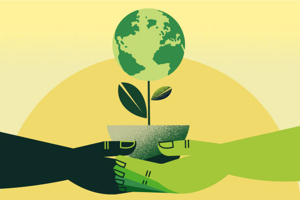 The 6 R’s of Sustainability: Simple ways to be more sustainable